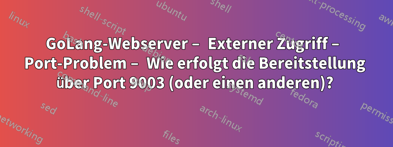 GoLang-Webserver – Externer Zugriff – Port-Problem – Wie erfolgt die Bereitstellung über Port 9003 (oder einen anderen)?