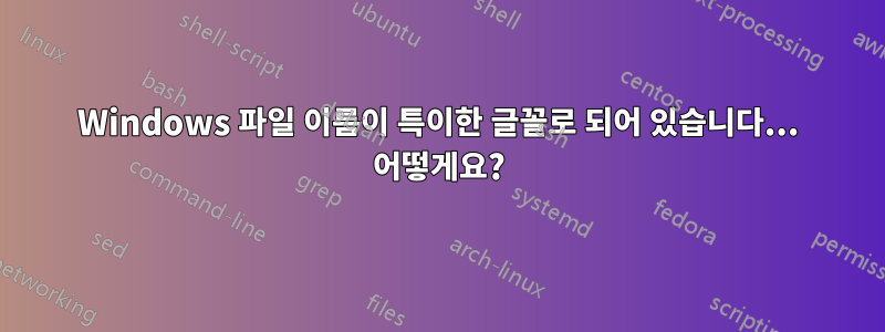 Windows 파일 이름이 특이한 글꼴로 되어 있습니다... 어떻게요?