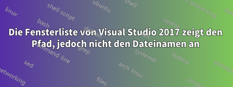 Die Fensterliste von Visual Studio 2017 zeigt den Pfad, jedoch nicht den Dateinamen an