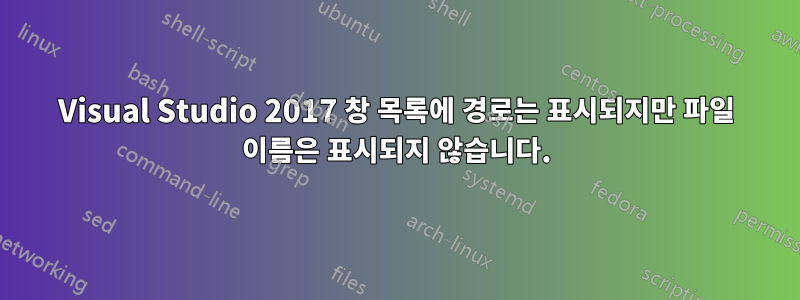 Visual Studio 2017 창 목록에 경로는 표시되지만 파일 이름은 표시되지 않습니다.