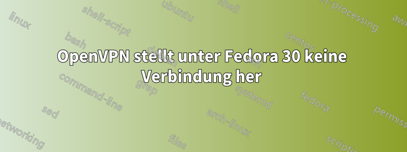 OpenVPN stellt unter Fedora 30 keine Verbindung her