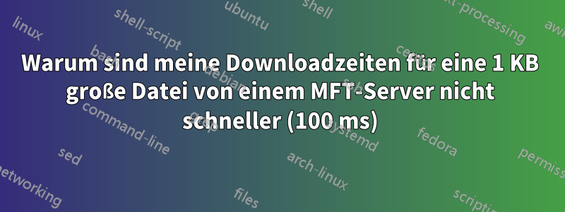 Warum sind meine Downloadzeiten für eine 1 KB große Datei von einem MFT-Server nicht schneller (100 ms)