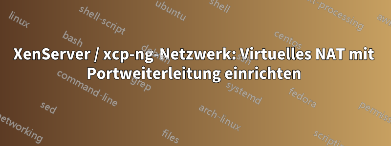 XenServer / xcp-ng-Netzwerk: Virtuelles NAT mit Portweiterleitung einrichten