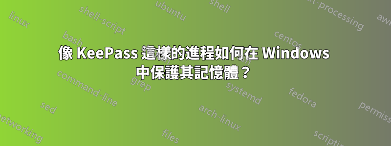 像 KeePass 這樣的進程如何在 Windows 中保護其記憶體？