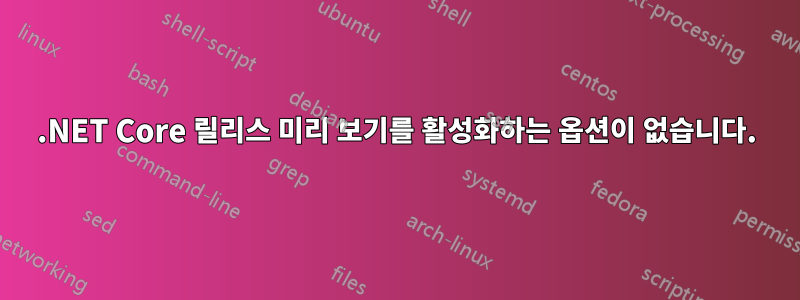 .NET Core 릴리스 미리 보기를 활성화하는 옵션이 없습니다.