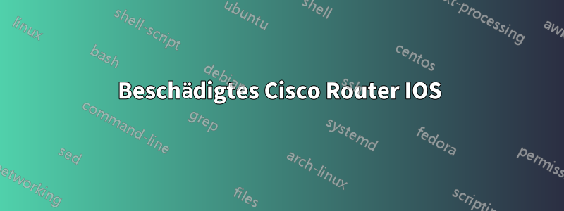 Beschädigtes Cisco Router IOS