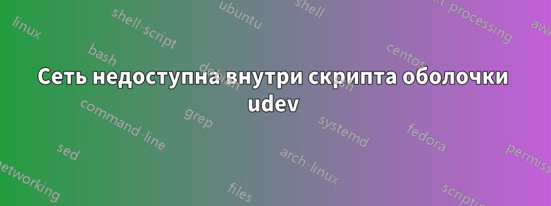 Сеть недоступна внутри скрипта оболочки udev