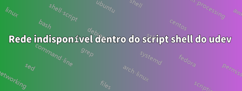 Rede indisponível dentro do script shell do udev