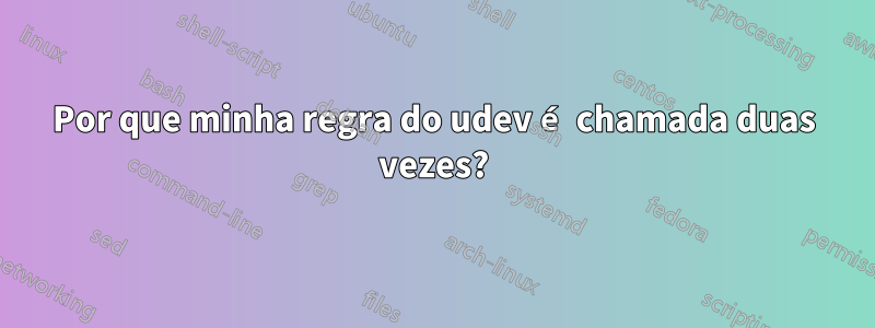 Por que minha regra do udev é chamada duas vezes?