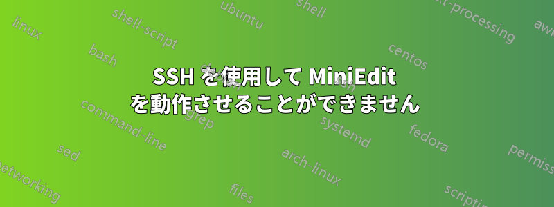 SSH を使用して MiniEdit を動作させることができません