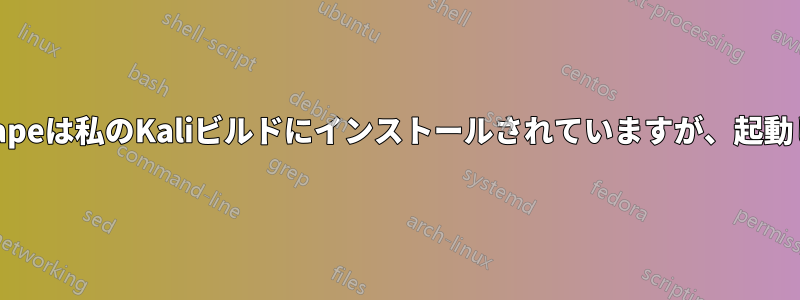 Runescapeは私のKaliビルドにインストールされていますが、起動しません