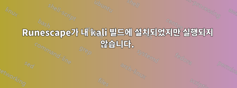 Runescape가 내 kali 빌드에 설치되었지만 실행되지 않습니다.