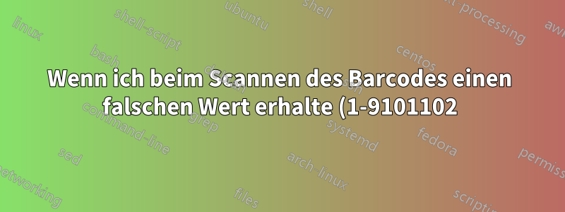 Wenn ich beim Scannen des Barcodes einen falschen Wert erhalte (1-9101102), erhalte ich (1-91011W2).