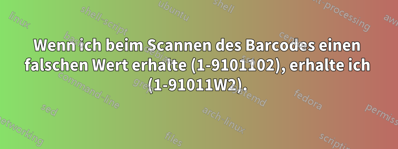 Wenn ich beim Scannen des Barcodes einen falschen Wert erhalte (1-9101102), erhalte ich (1-91011W2).