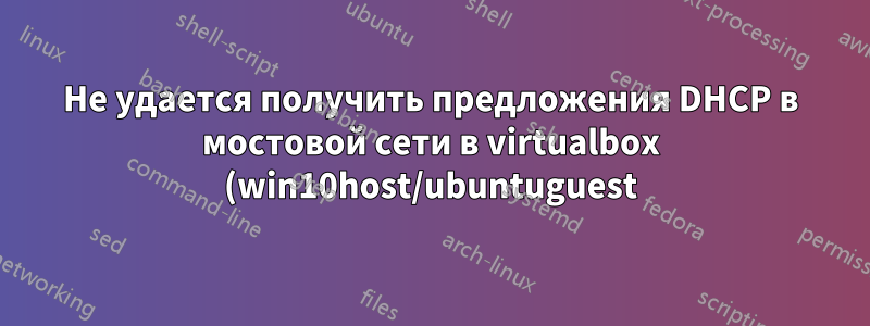 Не удается получить предложения DHCP в мостовой сети в virtualbox (win10host/ubuntuguest)?