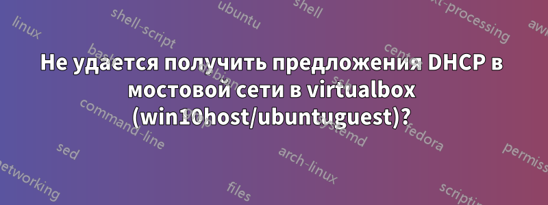 Не удается получить предложения DHCP в мостовой сети в virtualbox (win10host/ubuntuguest)?