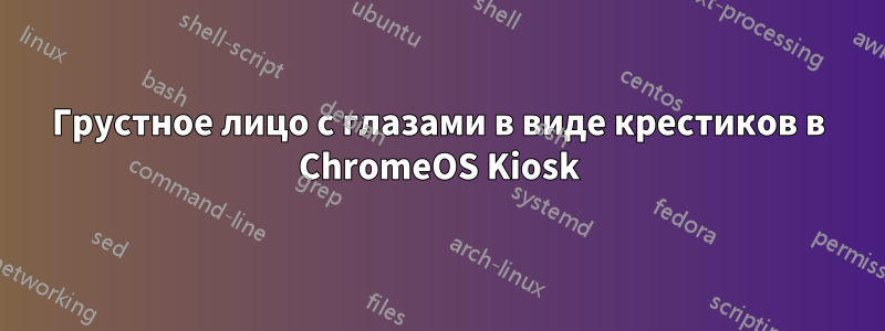 Грустное лицо с глазами в виде крестиков в ChromeOS Kiosk