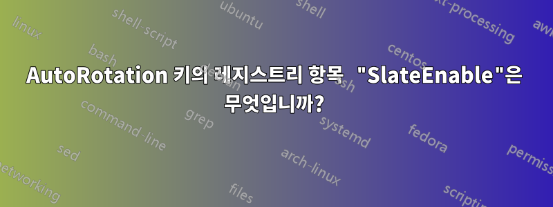 AutoRotation 키의 레지스트리 항목 "SlateEnable"은 무엇입니까?