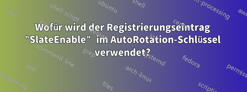 Wofür wird der Registrierungseintrag "SlateEnable" im AutoRotation-Schlüssel verwendet?