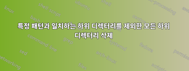 특정 패턴과 일치하는 하위 디렉터리를 제외한 모든 하위 디렉터리 삭제