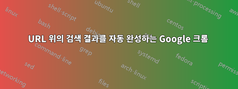 URL 위의 검색 결과를 자동 완성하는 Google 크롬