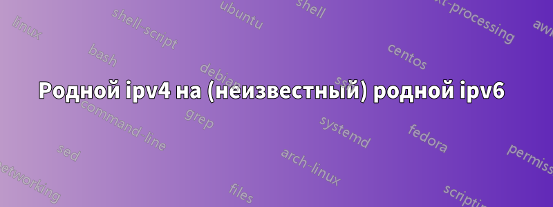 Родной ipv4 на (неизвестный) родной ipv6 