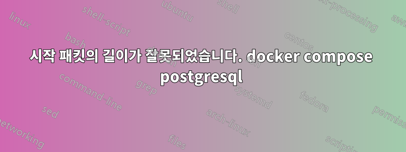 시작 패킷의 길이가 잘못되었습니다. docker compose postgresql