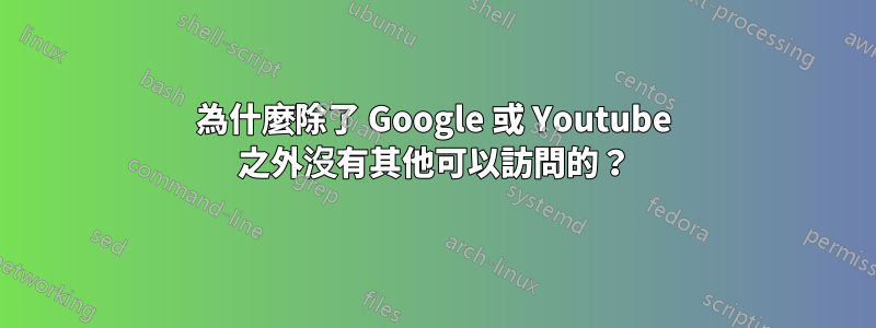 為什麼除了 Google 或 Youtube 之外沒有其他可以訪問的？