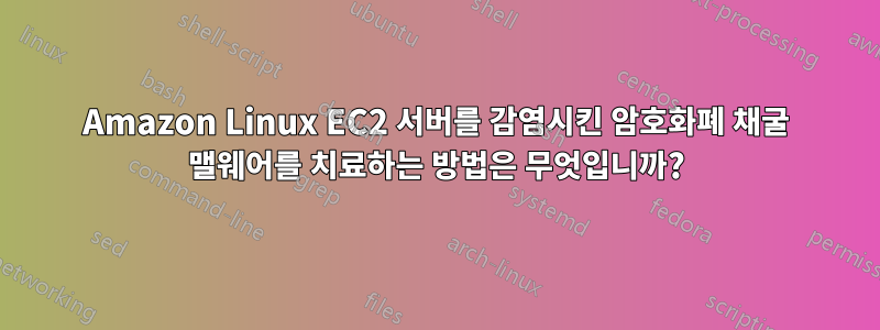 Amazon Linux EC2 서버를 감염시킨 암호화폐 채굴 맬웨어를 치료하는 방법은 무엇입니까?