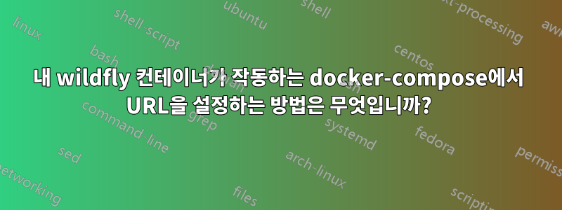 내 wildfly 컨테이너가 작동하는 docker-compose에서 URL을 설정하는 방법은 무엇입니까?