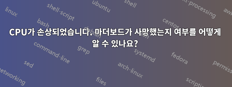 CPU가 손상되었습니다. 마더보드가 사망했는지 여부를 어떻게 알 수 있나요?