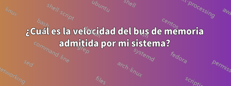 ¿Cuál es la velocidad del bus de memoria admitida por mi sistema?