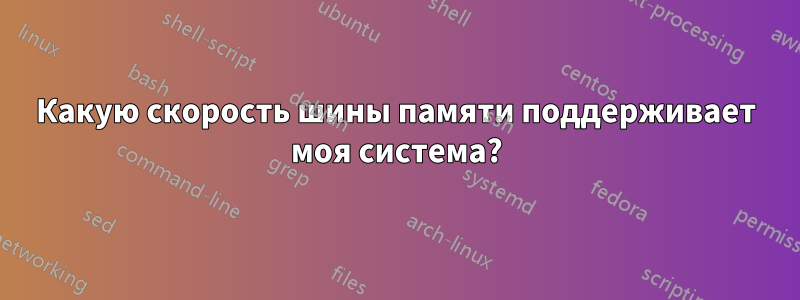 Какую скорость шины памяти поддерживает моя система?