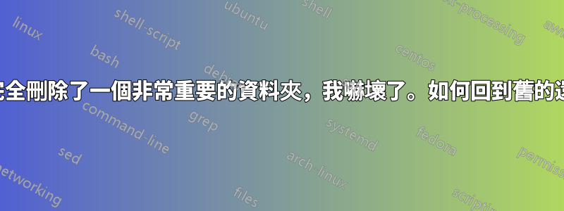 我想我完全刪除了一個非常重要的資料夾，我嚇壞了。如何回到舊的還原點？