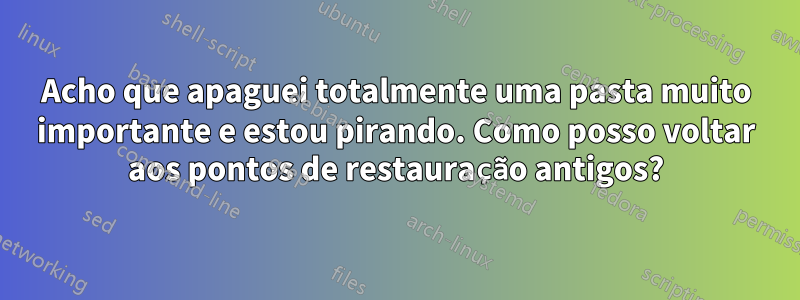 Acho que apaguei totalmente uma pasta muito importante e estou pirando. Como posso voltar aos pontos de restauração antigos?