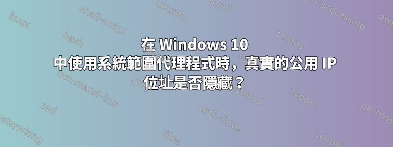 在 Windows 10 中使用系統範圍代理程式時，真實的公用 IP 位址是否隱藏？