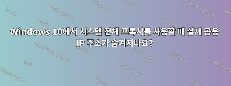 Windows 10에서 시스템 전체 프록시를 사용할 때 실제 공용 IP 주소가 숨겨지나요?