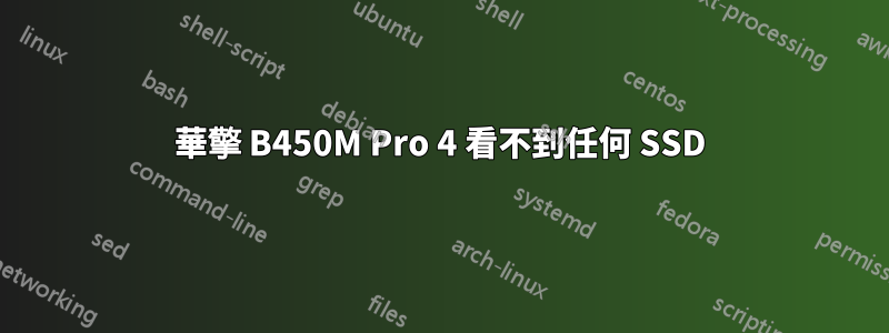 華擎 B450M Pro 4 看不到任何 SSD