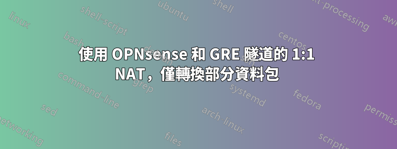 使用 OPNsense 和 GRE 隧道的 1:1 NAT，僅轉換部分資料包