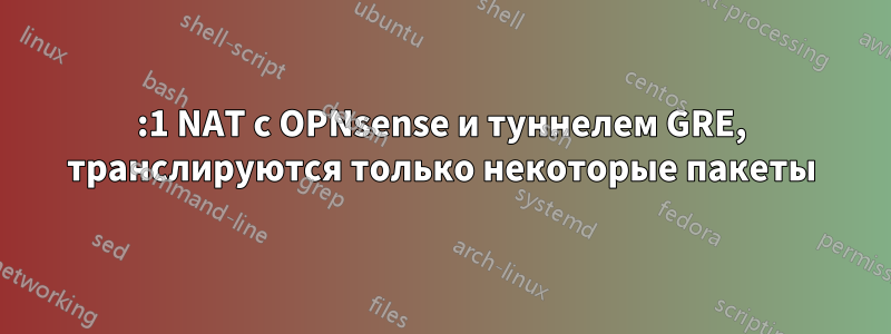 1:1 NAT с OPNsense и туннелем GRE, транслируются только некоторые пакеты