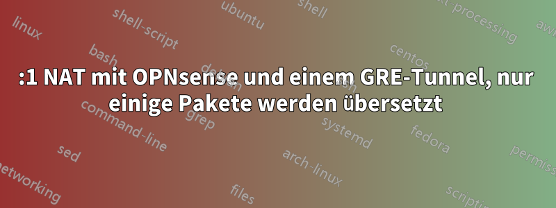 1:1 NAT mit OPNsense und einem GRE-Tunnel, nur einige Pakete werden übersetzt