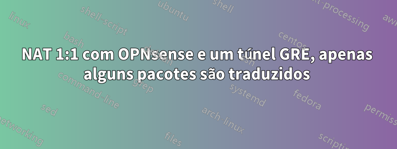 NAT 1:1 com OPNsense e um túnel GRE, apenas alguns pacotes são traduzidos