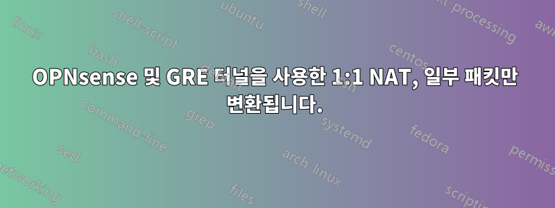 OPNsense 및 GRE 터널을 사용한 1:1 NAT, 일부 패킷만 변환됩니다.