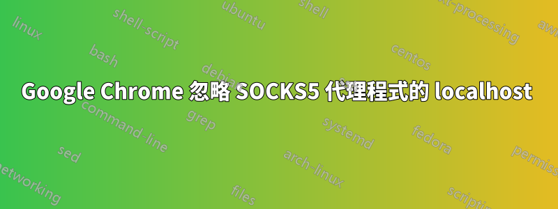 Google Chrome 忽略 SOCKS5 代理程式的 localhost