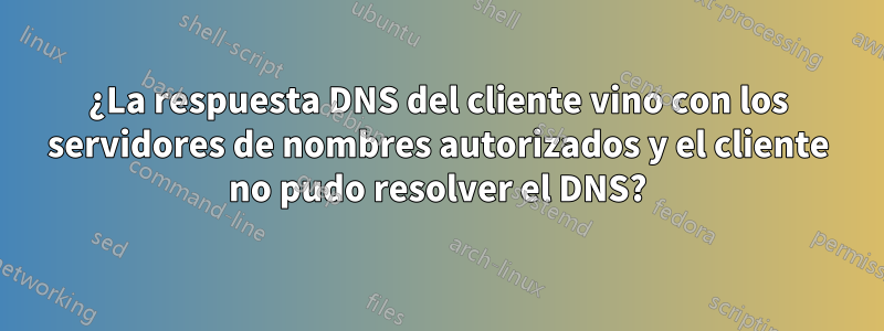 ¿La respuesta DNS del cliente vino con los servidores de nombres autorizados y el cliente no pudo resolver el DNS?