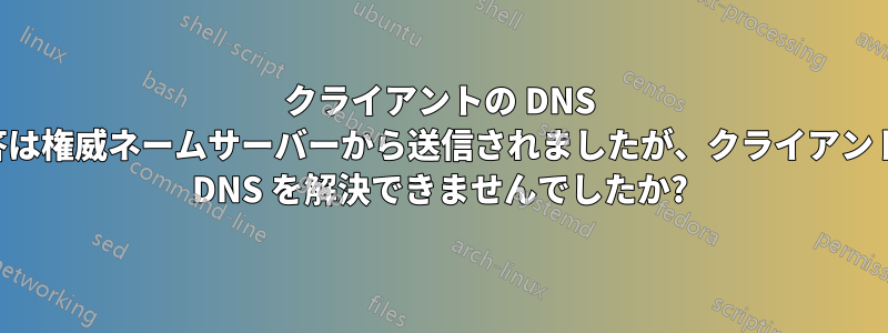 クライアントの DNS 応答は権威ネームサーバーから送信されましたが、クライアントは DNS を解決できませんでしたか?