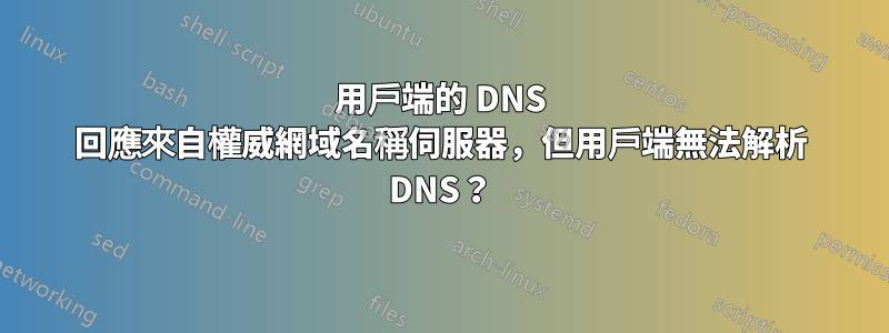 用戶端的 DNS 回應來自權威網域名稱伺服器，但用戶端無法解析 DNS？