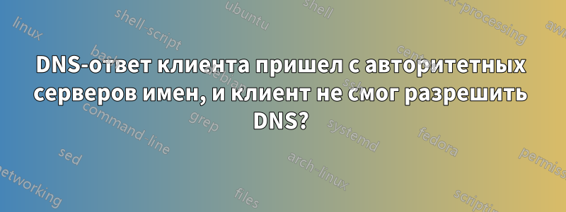 DNS-ответ клиента пришел с авторитетных серверов имен, и клиент не смог разрешить DNS?