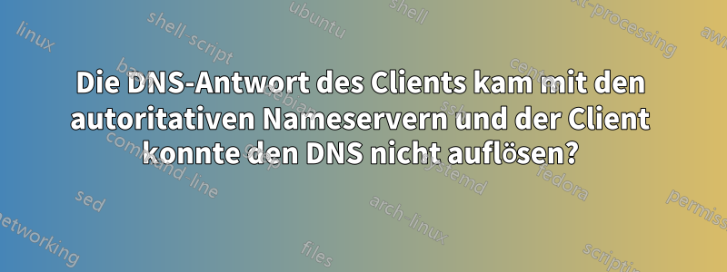 Die DNS-Antwort des Clients kam mit den autoritativen Nameservern und der Client konnte den DNS nicht auflösen?