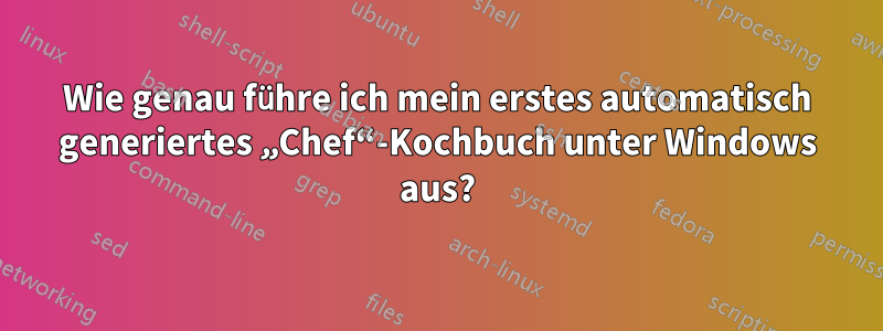 Wie genau führe ich mein erstes automatisch generiertes „Chef“-Kochbuch unter Windows aus?